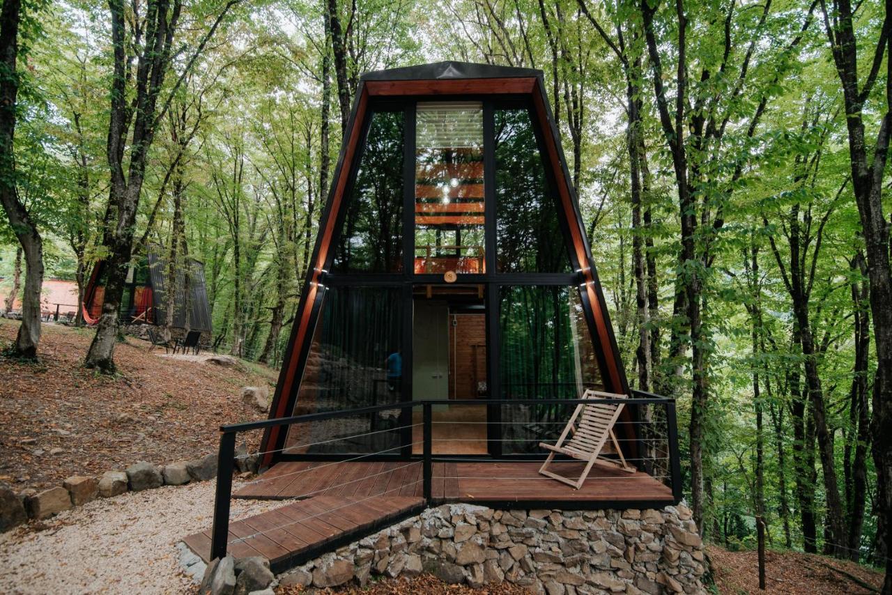 Eco Village In The Forest